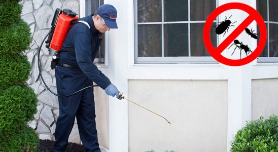 İdil Kene İlaçlama böcek ilaçlama ve haşere kontrolü — ilaclama-tr.com